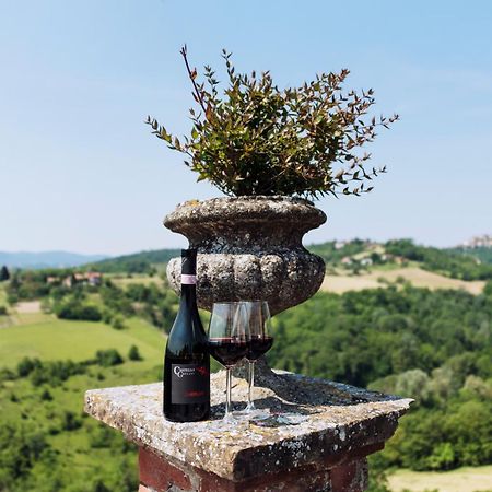 Castello Di Grillano Guest House Ovada Exterior photo
