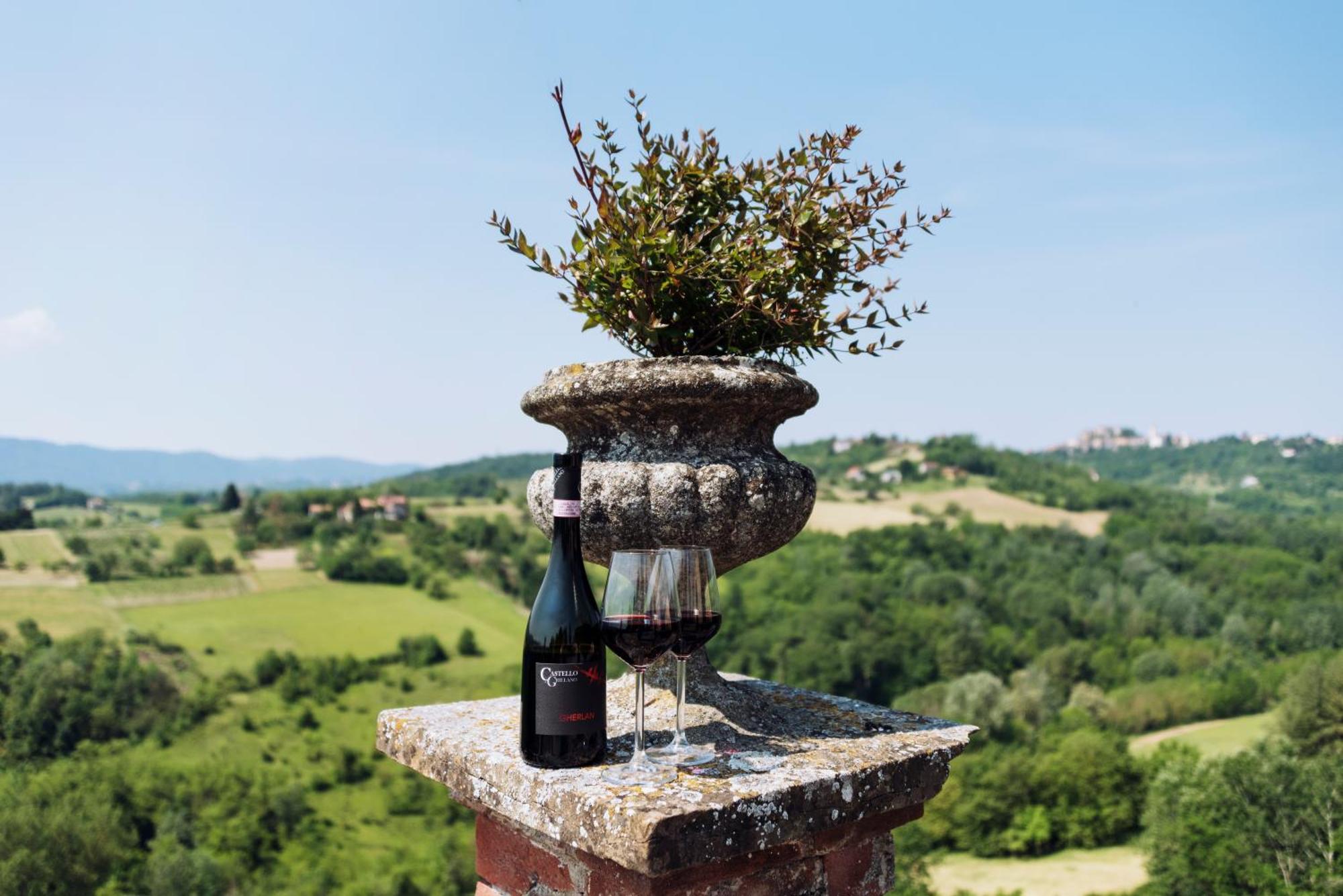 Castello Di Grillano Guest House Ovada Exterior photo